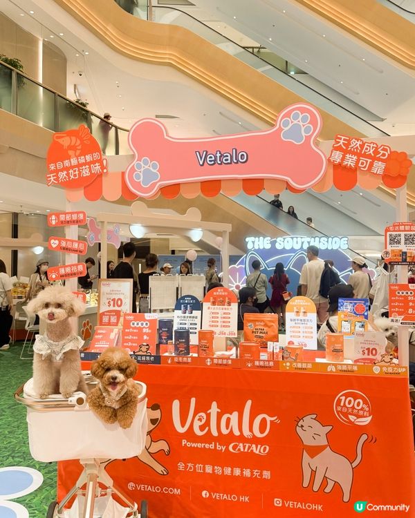 港島區狗狗又有個新浦點啦~