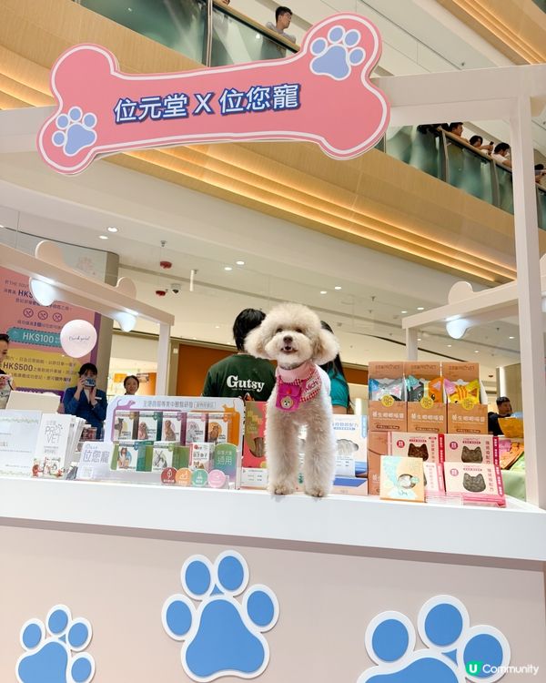 港島區狗狗又有個新浦點啦~