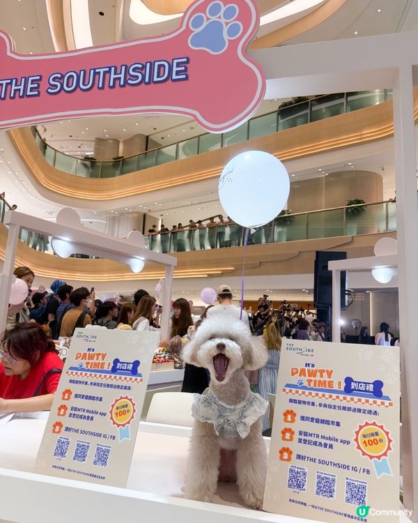 港島區狗狗又有個新浦點啦~