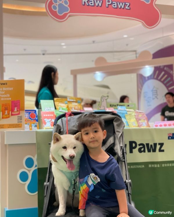 帶狗狗去商場玩