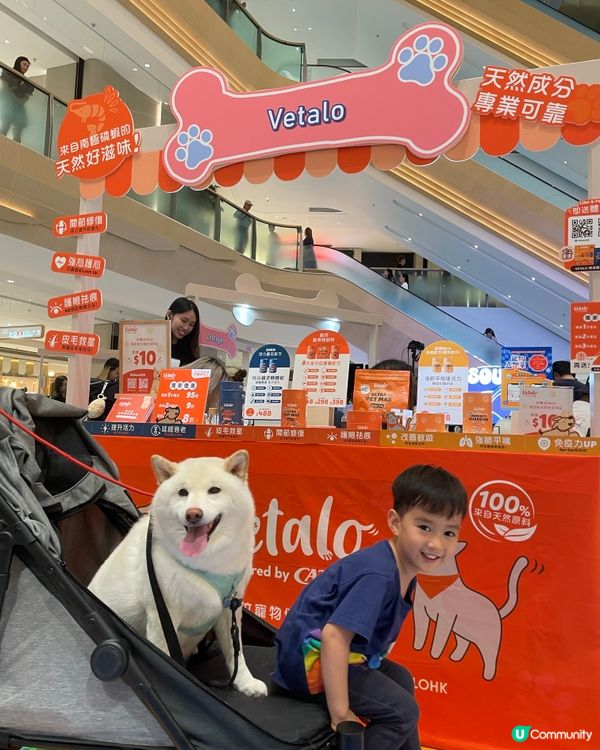 帶狗狗去商場玩