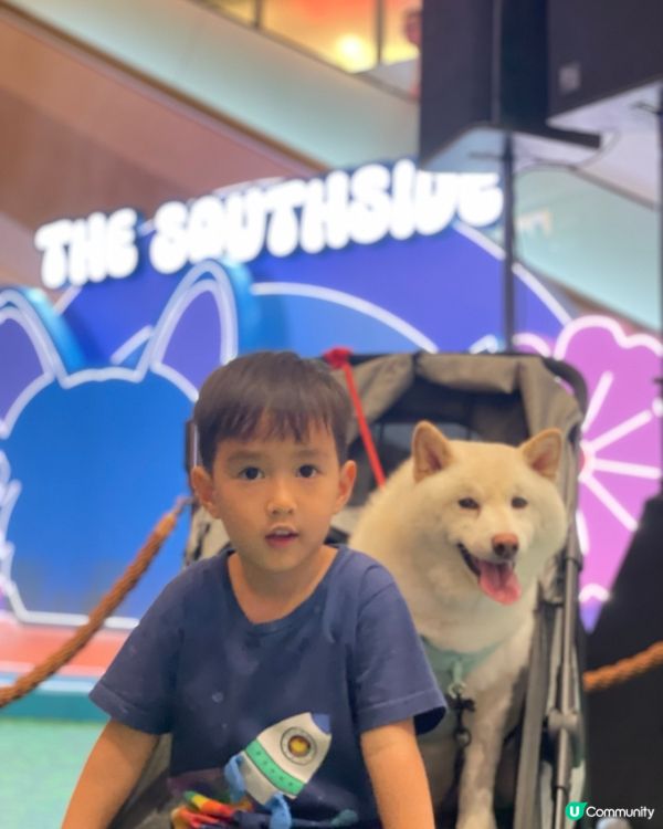 帶狗狗去商場玩