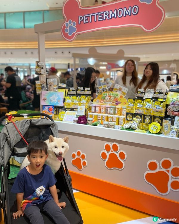 帶狗狗去商場玩