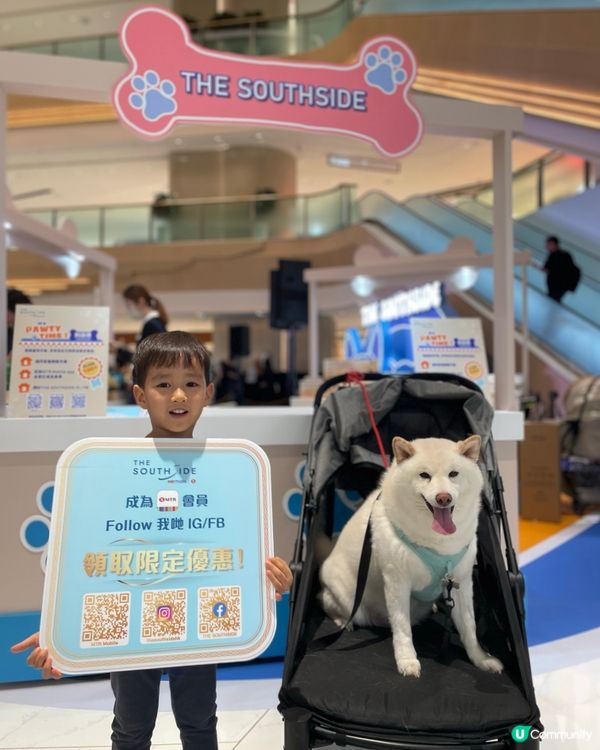 帶狗狗去商場玩