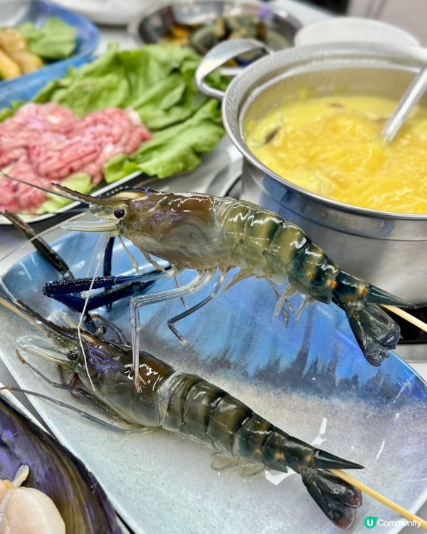 深圳必食！壹號粥火鍋海鮮煲仔粥🍲