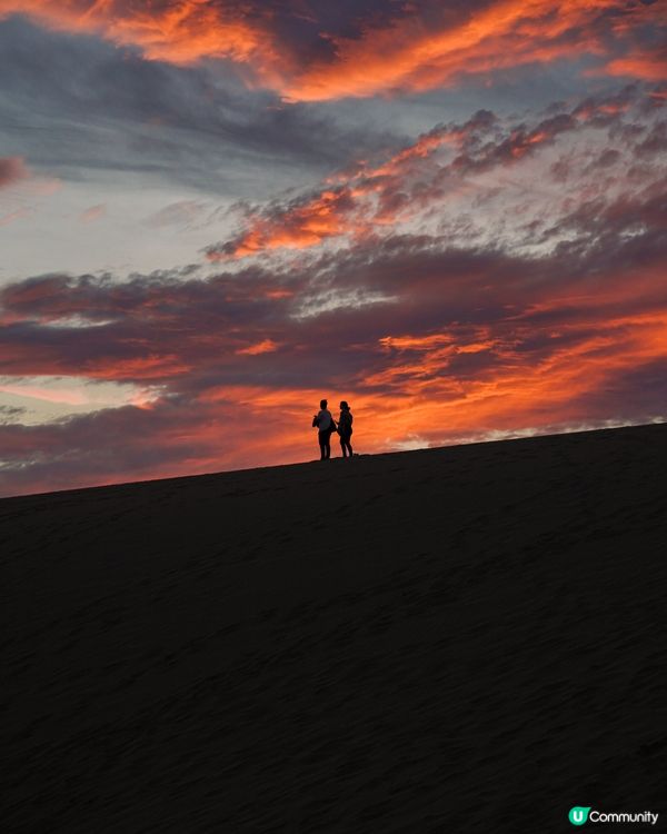🇯🇵鳥取旅遊| 日本沙漠絕景：鳥取砂丘&砂之美術館 🌅