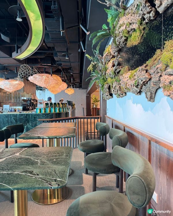 台北101 88樓嘆咖啡☕️🏙️