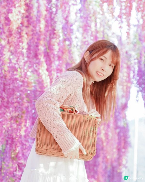 香港必去花園🇭🇰紫滕花隧道x向日葵花海!元朗信芯園農莊🌻