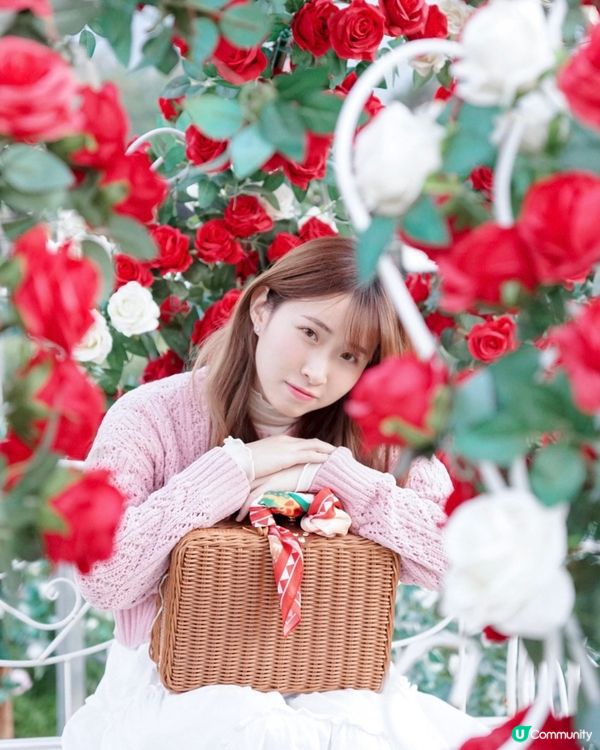 香港必去花園🇭🇰紫滕花隧道x向日葵花海!元朗信芯園農莊🌻