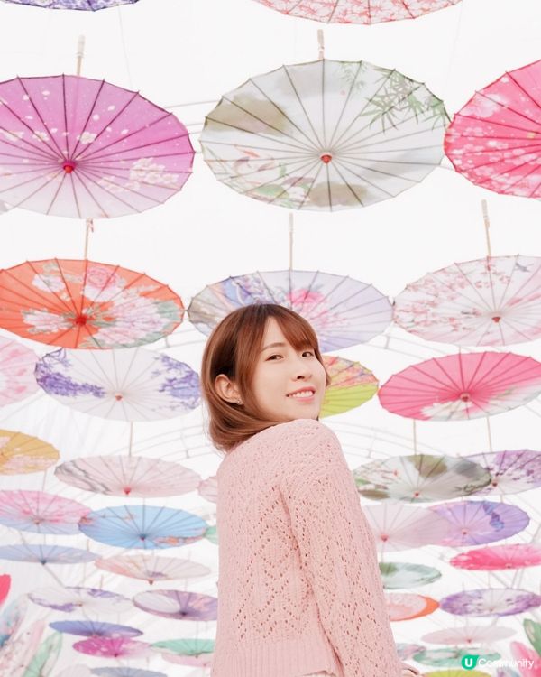 香港必去花園🇭🇰紫滕花隧道x向日葵花海!元朗信芯園農莊🌻