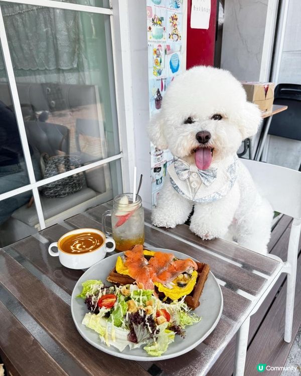 狗狗🍠打卡餐廳 -- 法國小屋