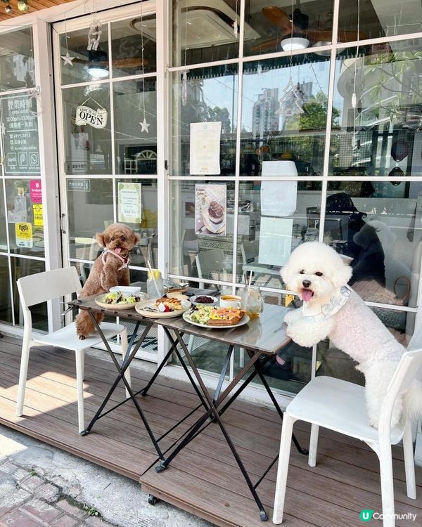 狗狗🍠打卡餐廳 -- 法國小屋