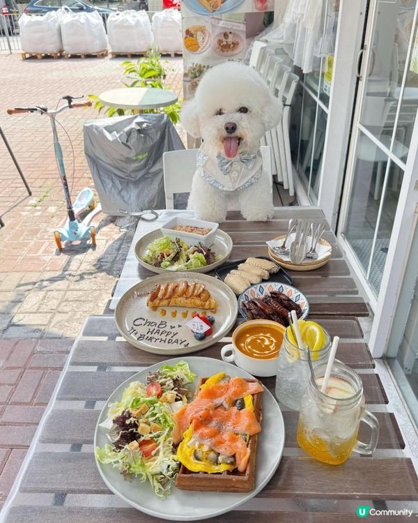 狗狗🍠打卡餐廳 -- 法國小屋