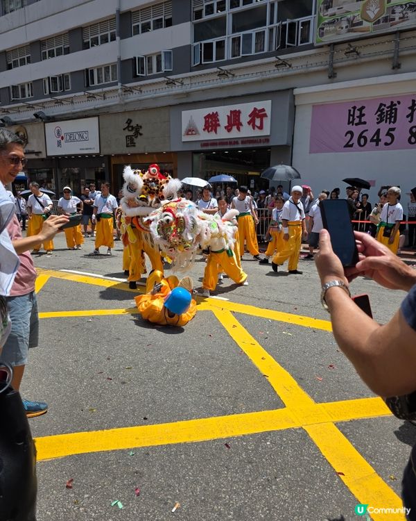 一年一度元朗天后寶誕