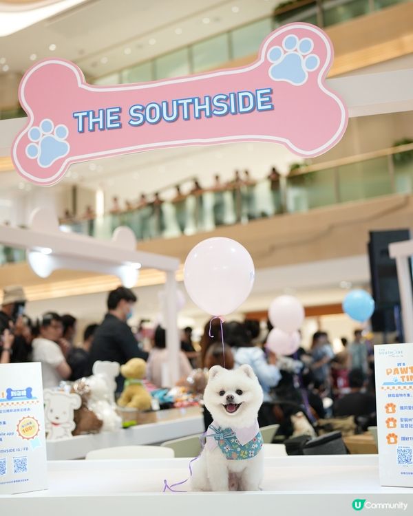 港島寵物新蒲點