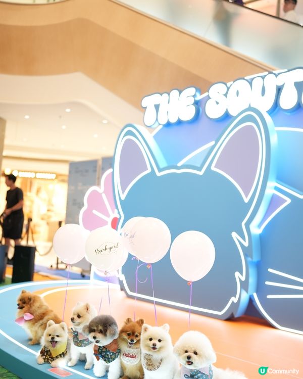 港島寵物新蒲點