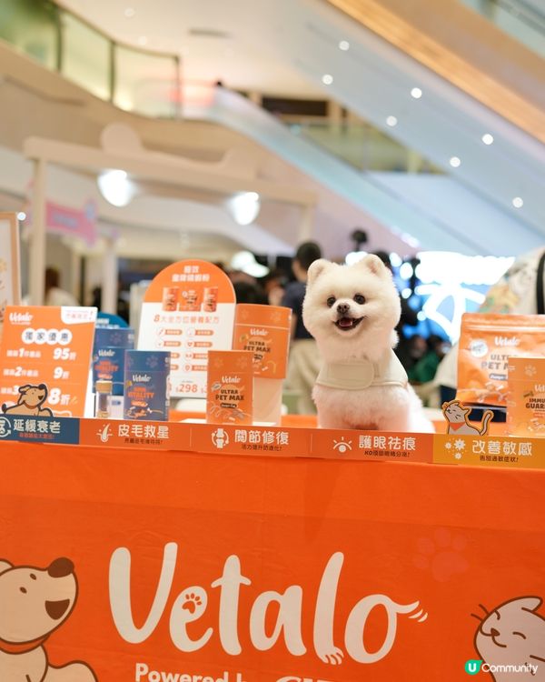 港島寵物新蒲點