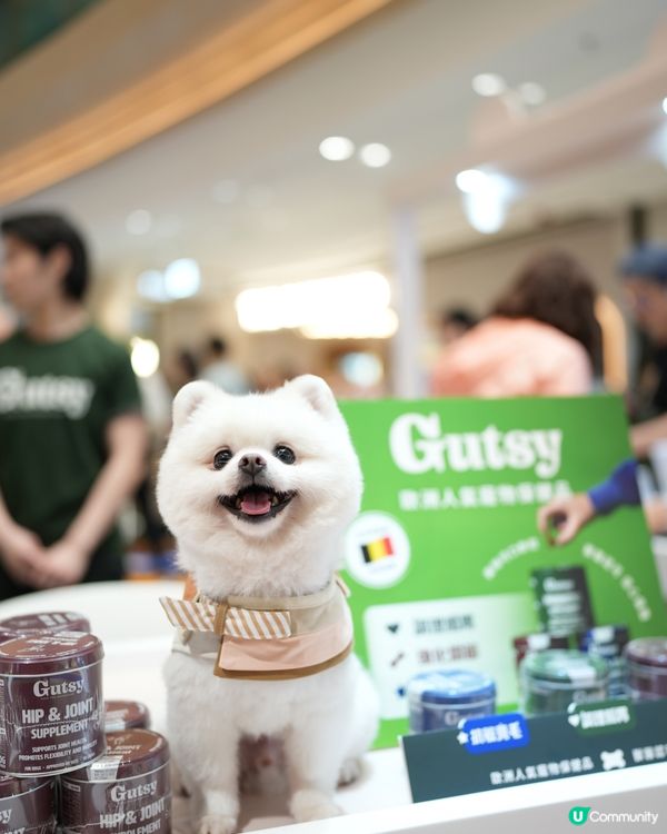 港島寵物新蒲點