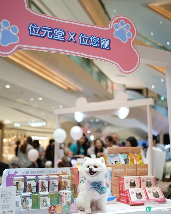 港島寵物新蒲點