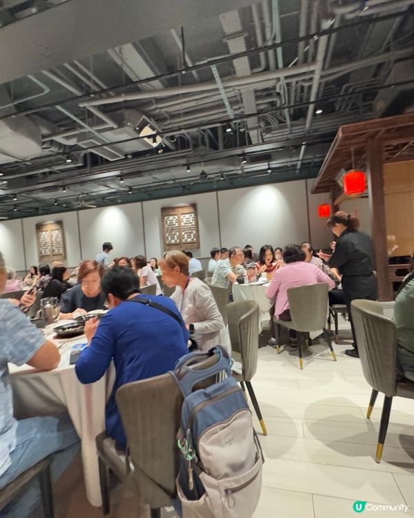 平日lunch滿座的茶樓！少見