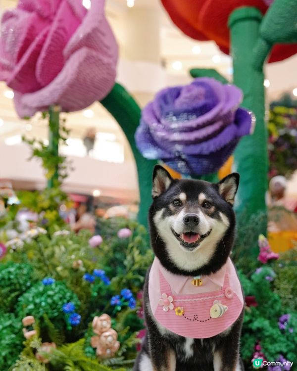 LEGO迷必去打卡呀😍