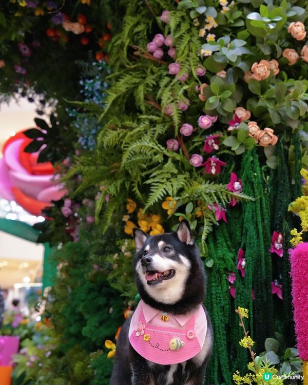 LEGO迷必去打卡呀😍