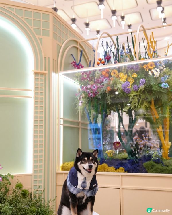 LEGO迷必去打卡呀😍