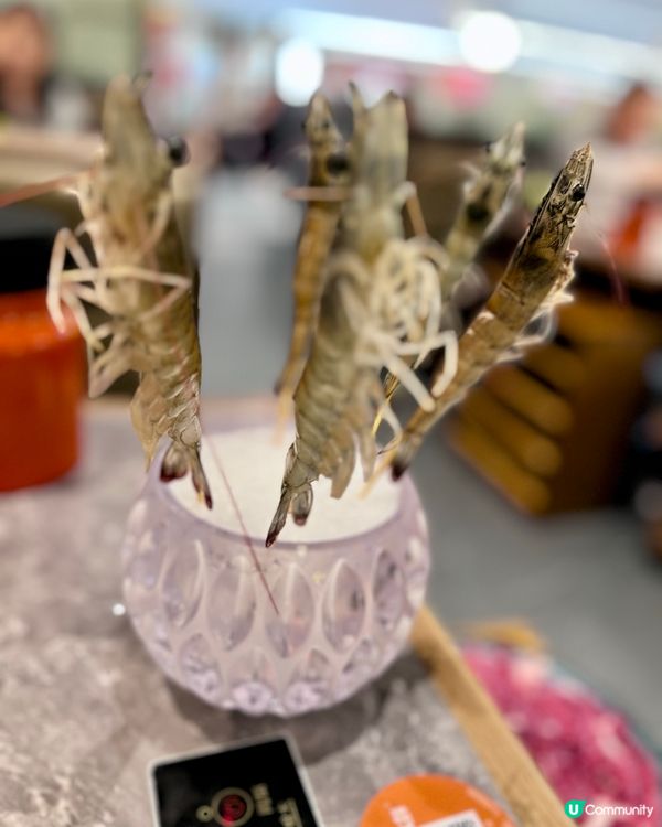 老城鮮·小海鮮貝貝煲火鍋｜套餐海鮮多款湯底鮮甜足料｜地鐵直達