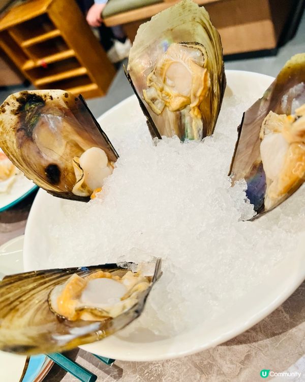 老城鮮·小海鮮貝貝煲火鍋｜套餐海鮮多款湯底鮮甜足料｜地鐵直達