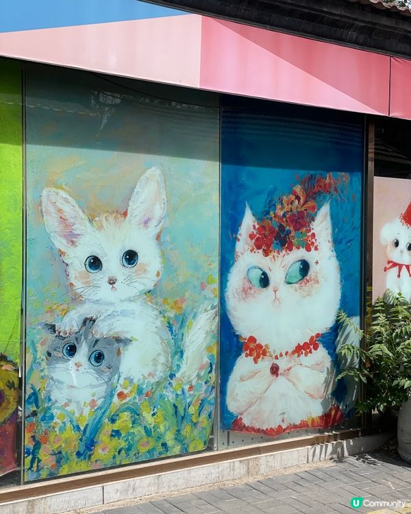 五道營胡同，尋味北京最潮角落！🤩