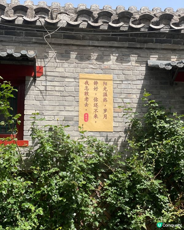 五道營胡同，尋味北京最潮角落！🤩