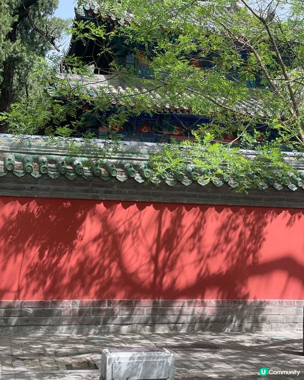 五道營胡同，尋味北京最潮角落！🤩