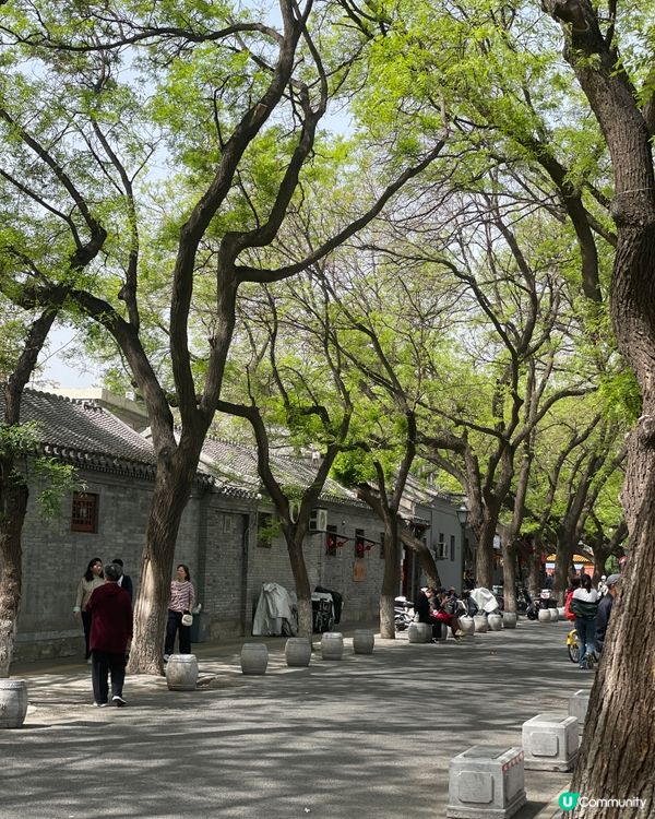 五道營胡同，尋味北京最潮角落！🤩