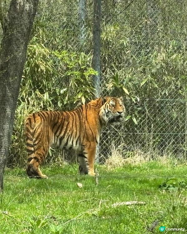 静岗野生動物園