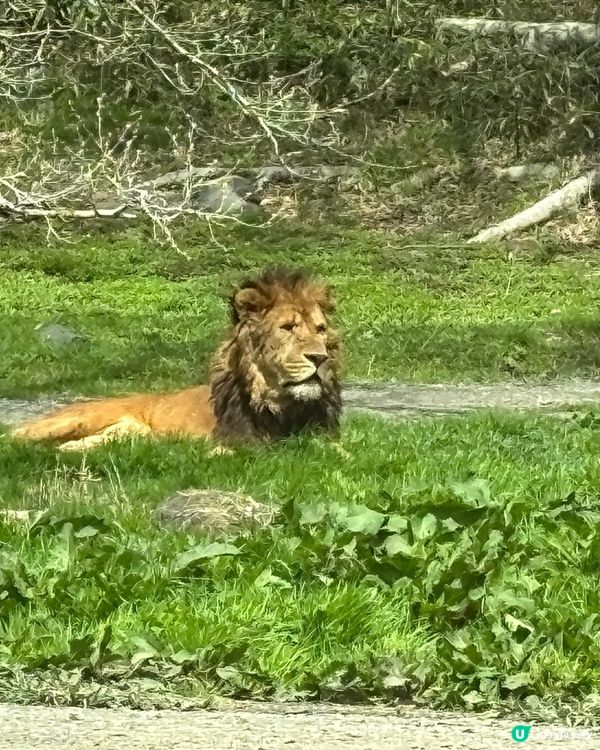 静岗野生動物園