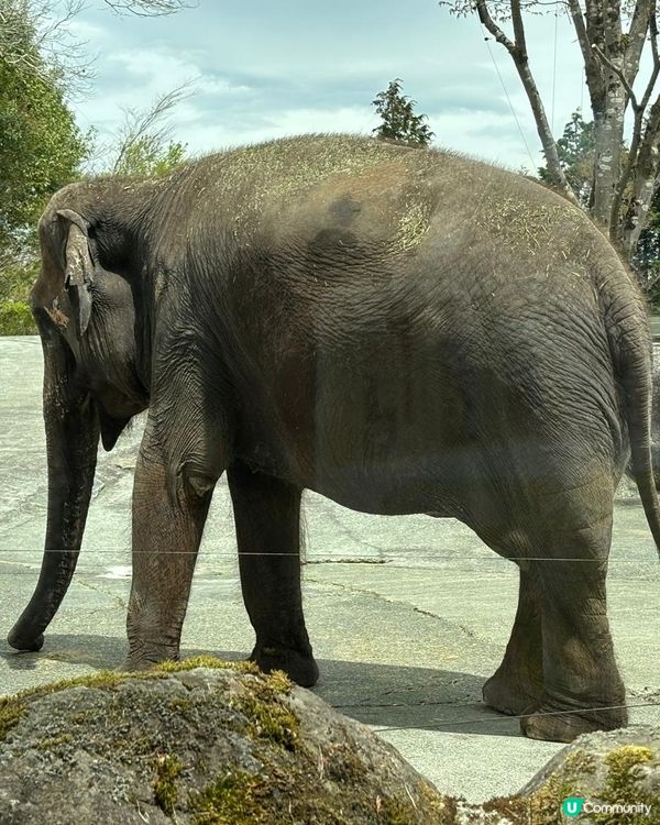 静岗野生動物園