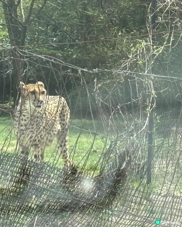 静岗野生動物園