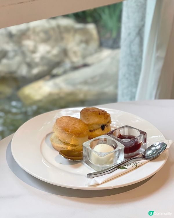 🇭🇰香港公園玻璃屋春日打卡下午茶🌸