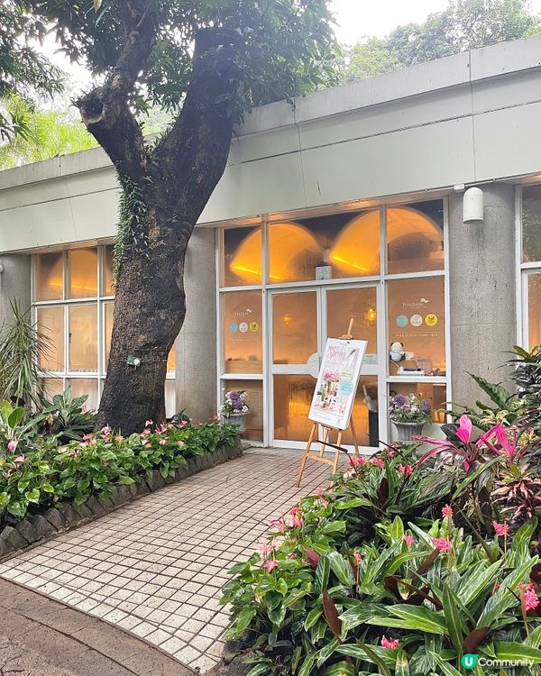 🇭🇰香港公園玻璃屋春日打卡下午茶🌸