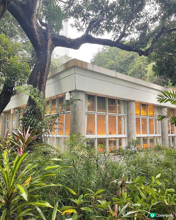 🇭🇰香港公園玻璃屋春日打卡下午茶🌸