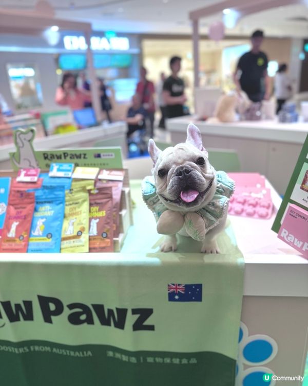 南區好去處 - 寵物友善🐾