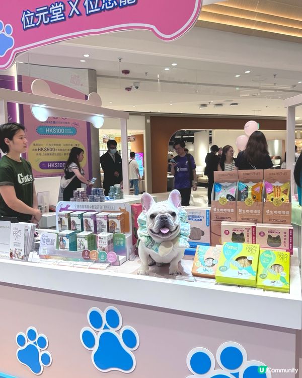 南區好去處 - 寵物友善🐾