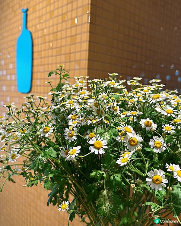 精品咖啡店 Blue Bottle Coffee @blue...