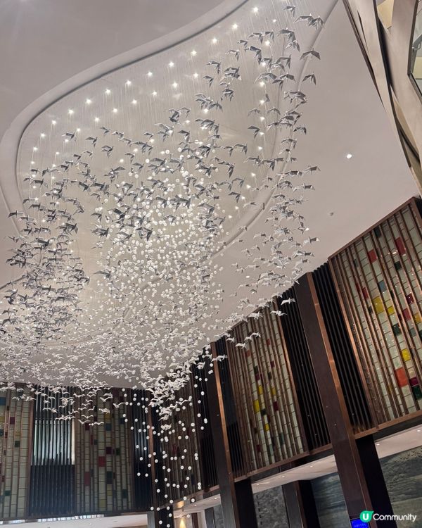 ✨廣州從化碧泉空中溫泉✨