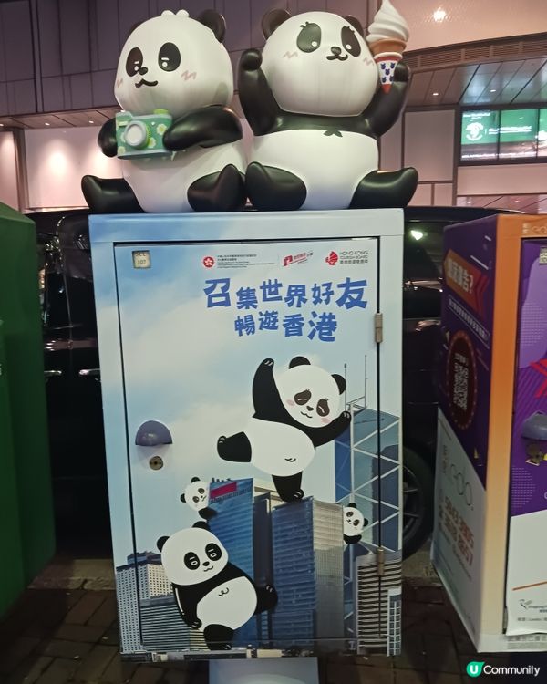 🌸🌸熊貓箱🌸🌸