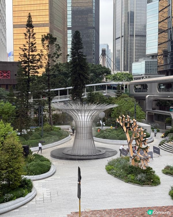 🌳《中環隨影》🌳