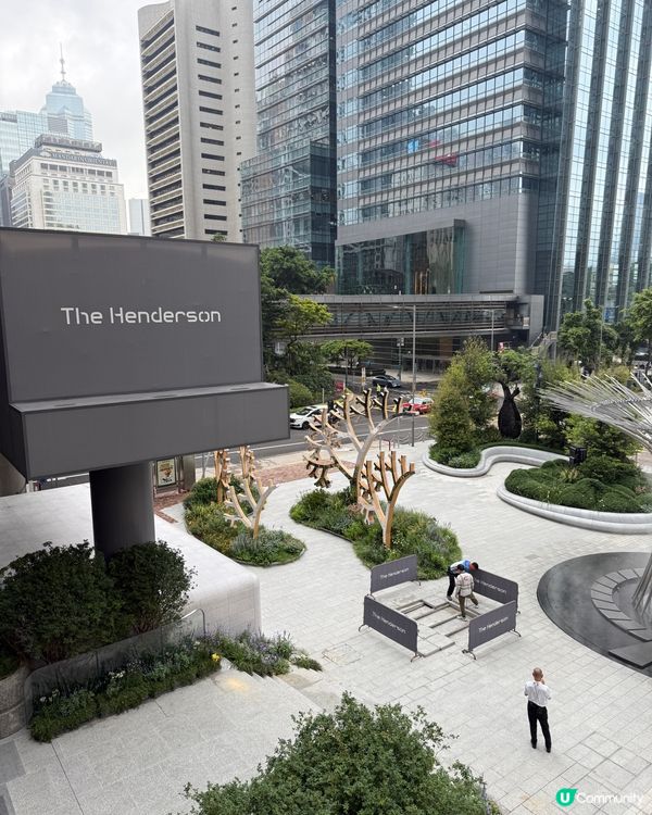 🌳《中環隨影》🌳