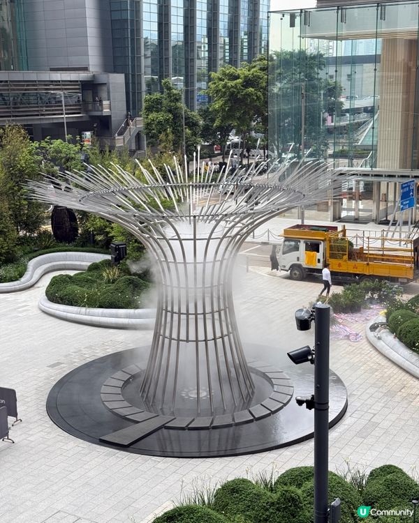 🌳《中環隨影》🌳