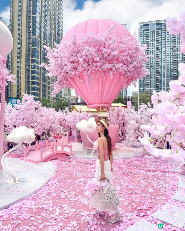櫻花與熱氣球的浪漫展🌸