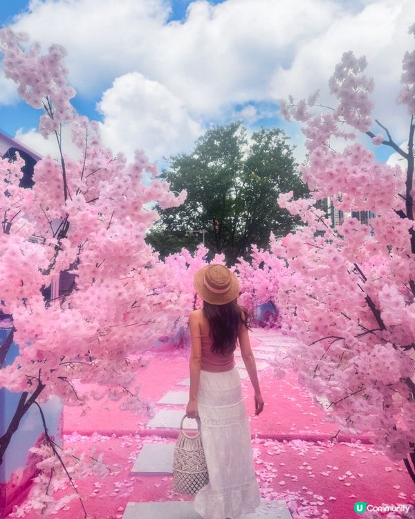 櫻花與熱氣球的浪漫展🌸